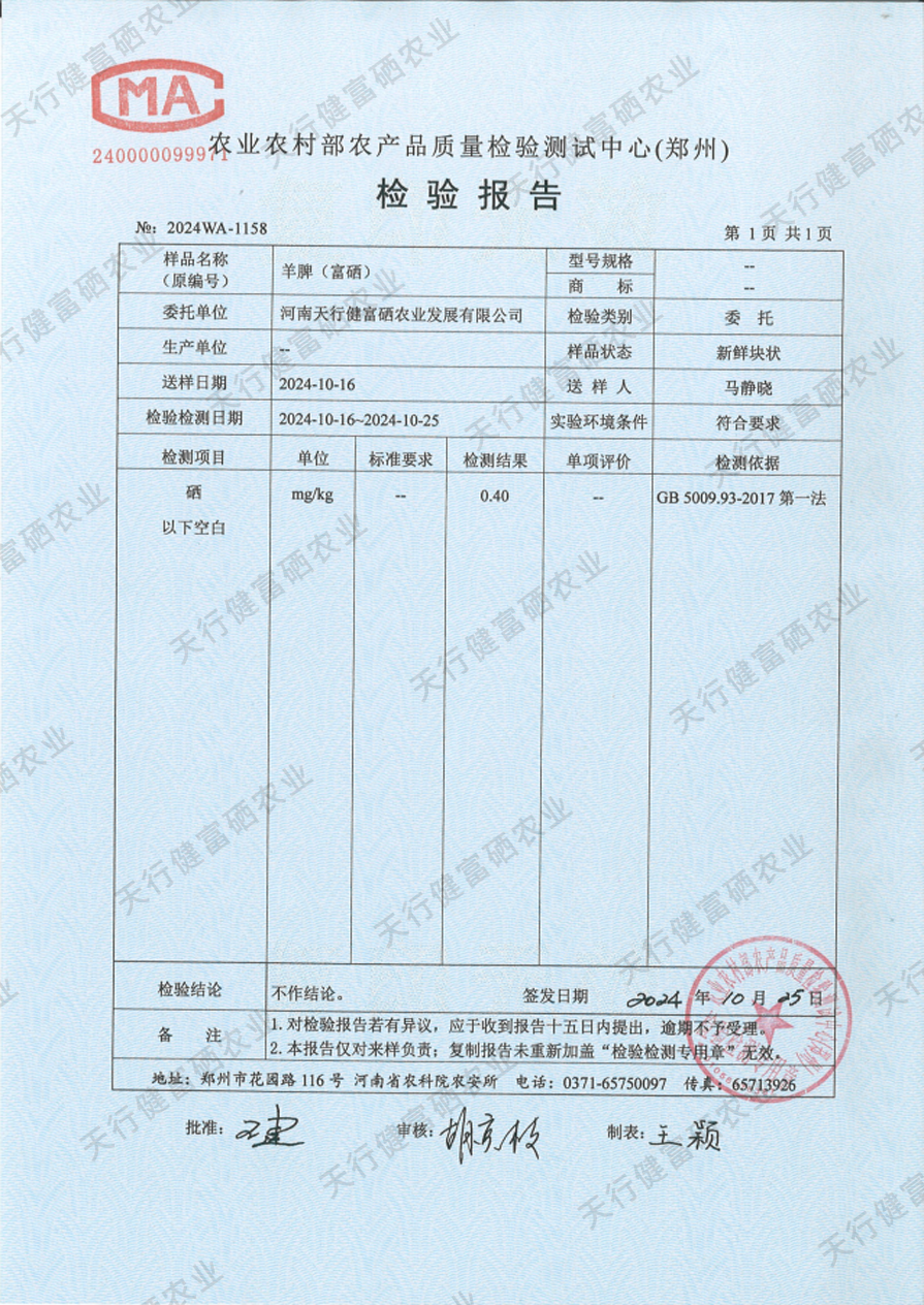 图片16