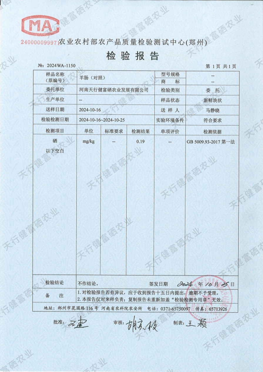 图片13