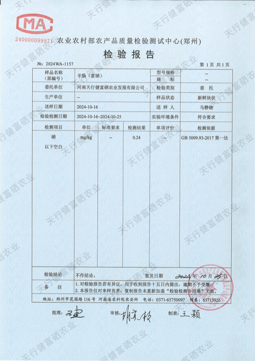 图片14